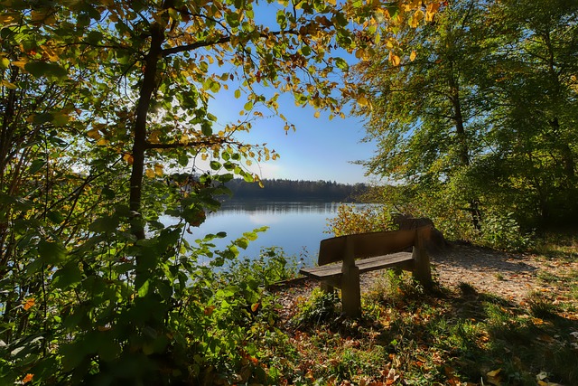 萨沃纳：尤文对我来说永远是家；会建议伊尔迪兹来英超